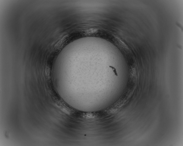 X0000091920565200709191342