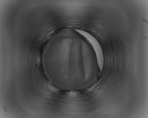 X0000091920566200709191342