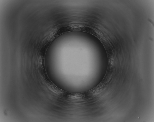 X0000091920567200709191342