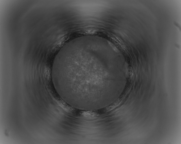 X0000091920568200709191342