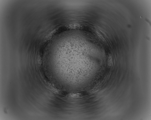 X0000091920569200709191342