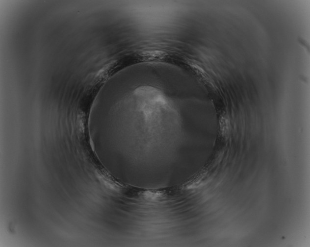 X0000091920570200709191342