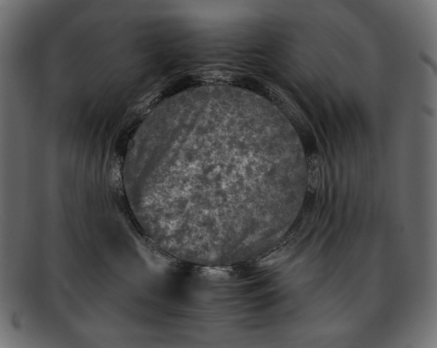 X0000091920573200709191342