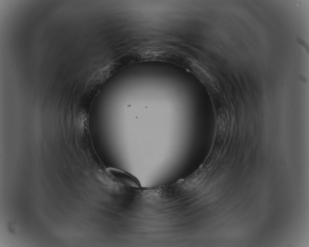 X0000091920574200709191342