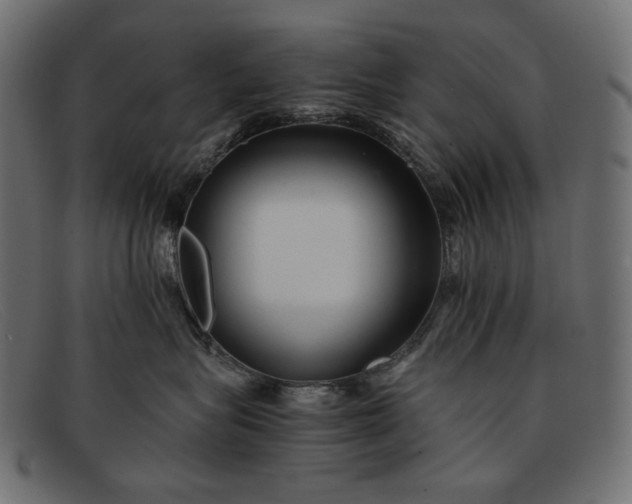 X0000091920575200709191342