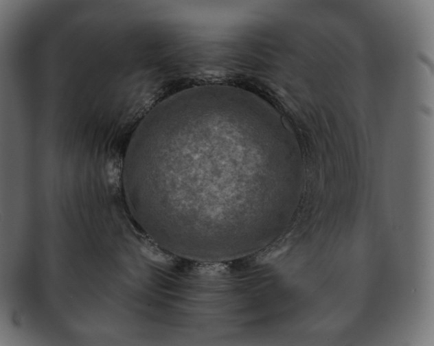 X0000091920576200709191342