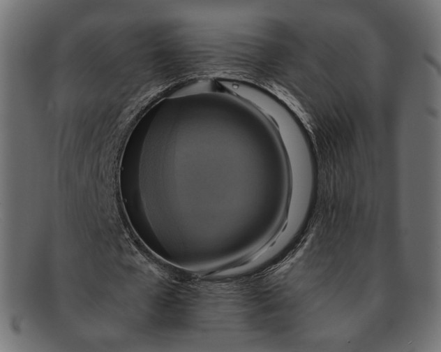X0000091920577200709191341