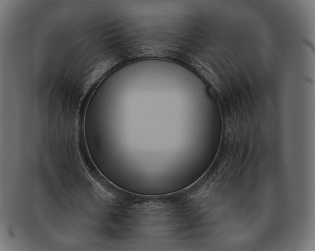 X0000091920578200709191341