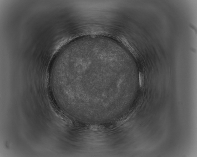 X0000091920579200709191341