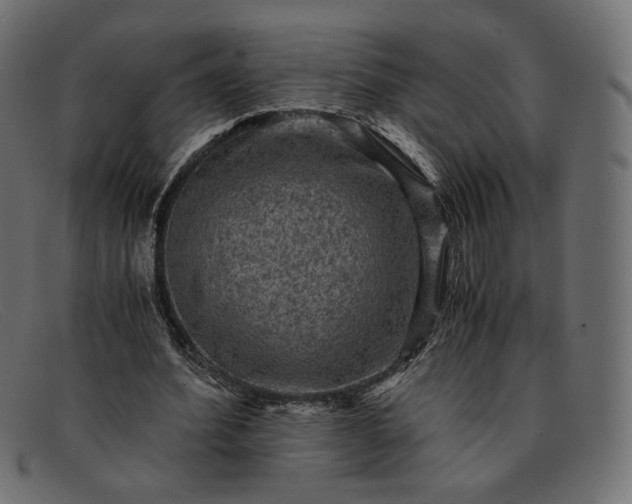 X0000091920580200709191341