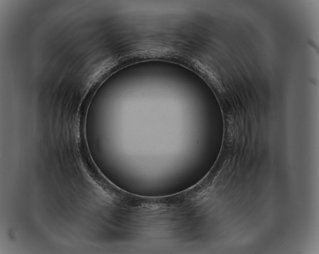 X0000091920582200709191341