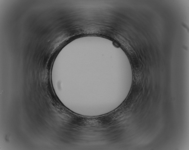 X0000091920583200709191341