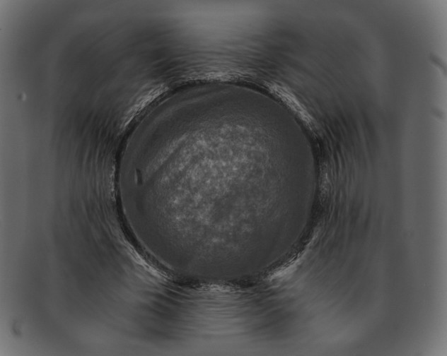 X0000091920585200709191341