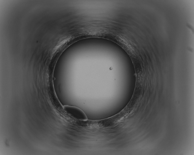 X0000091920587200709191341