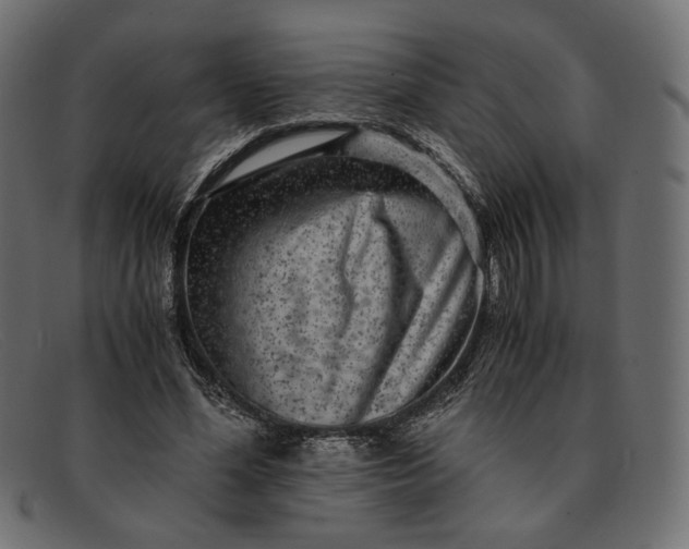 X0000091920588200709191341