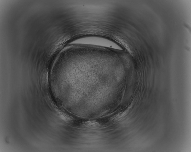 X0000091920589200709191341