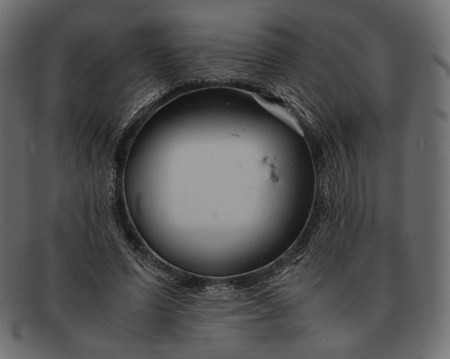 X0000091920591200709191341