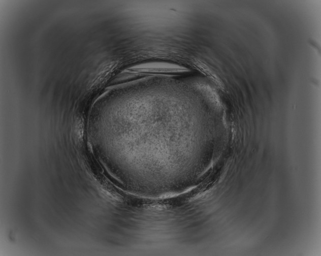 X0000091920593200709191341