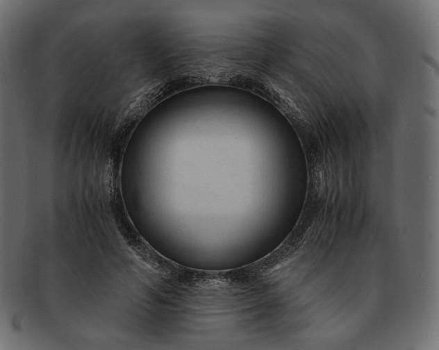 X0000091920594200709191341