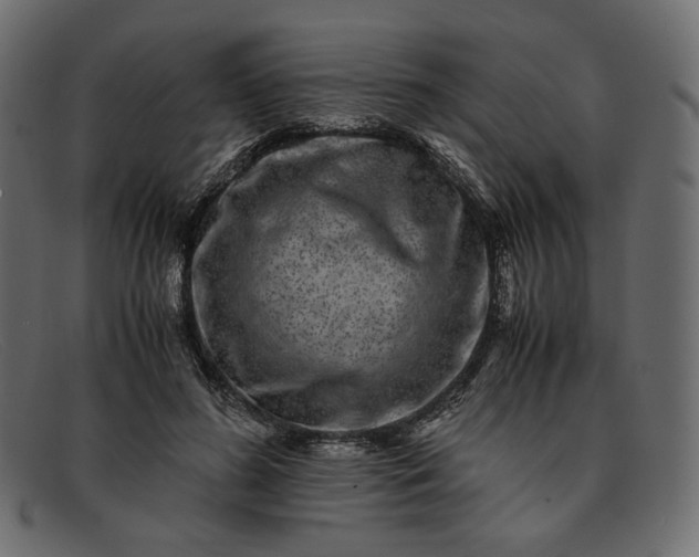 X0000091920596200709191341