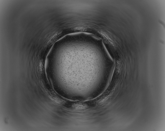 X0000091920597200709191341