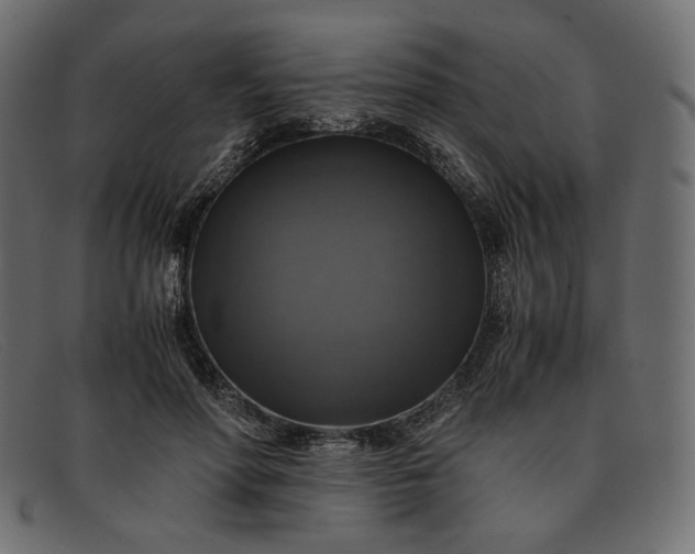 X0000091920598200709191341