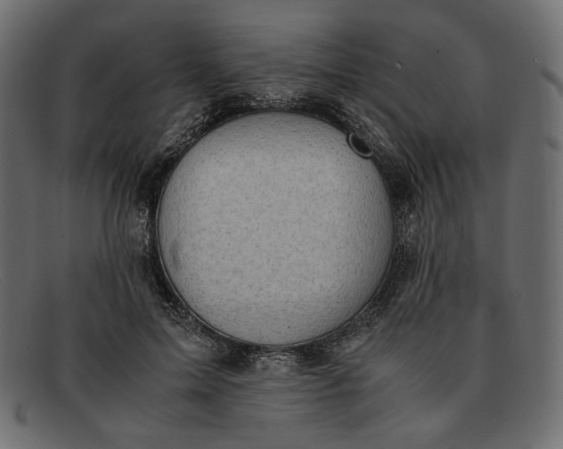 X0000091920599200709191341