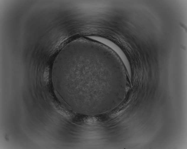 X0000091920600200709191341