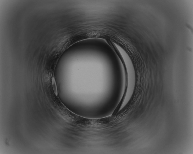 X0000091920601200709191341
