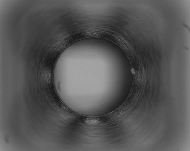 X0000091920602200709191341