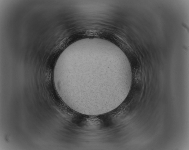 X0000091920603200709191341