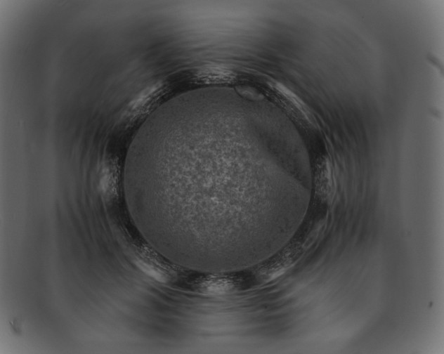 X0000091920604200709191341