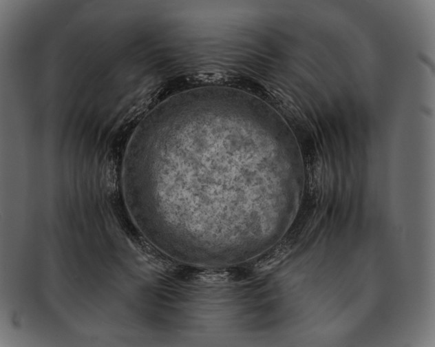 X0000091920606200709191341