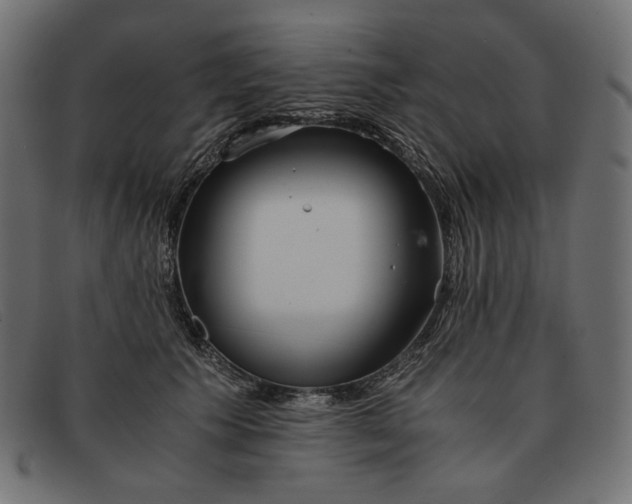 X0000091920609200709191341