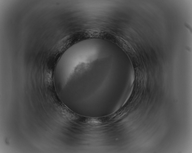 X0000091920610200709191341