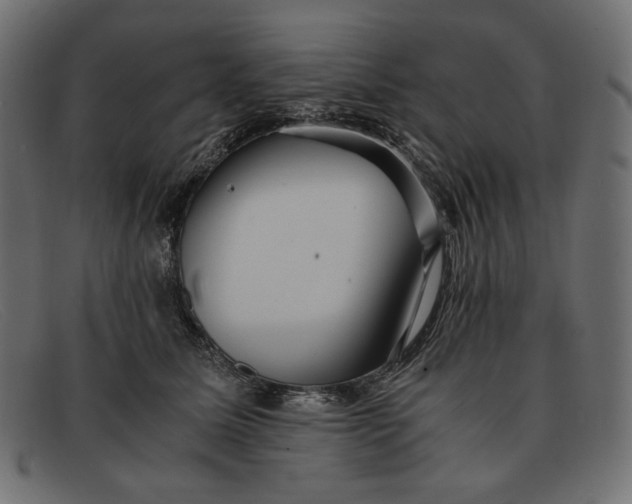 X0000091920611200709191341