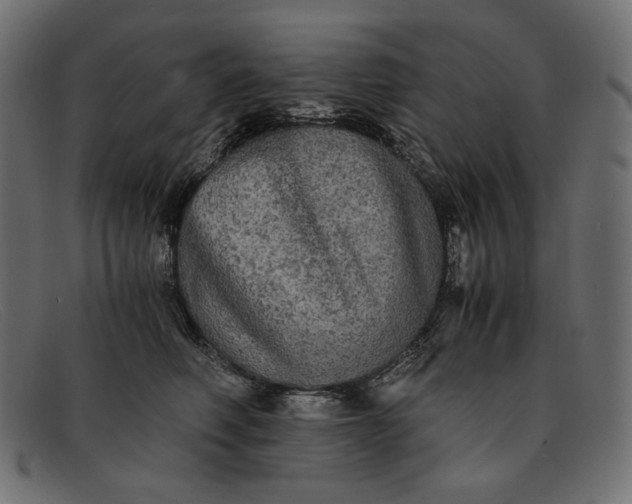X0000091920614200709191341