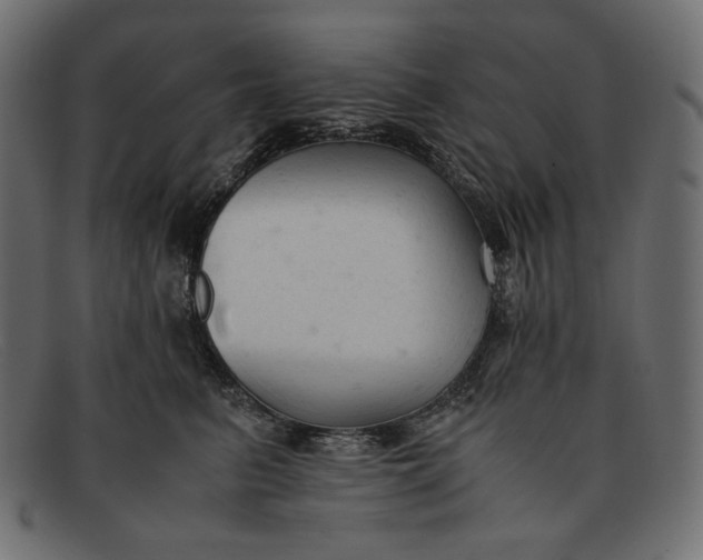 X0000091920615200709191341