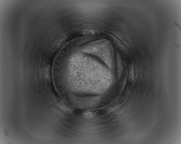 X0000091920616200709191341