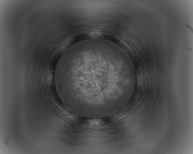 X0000091920618200709191341