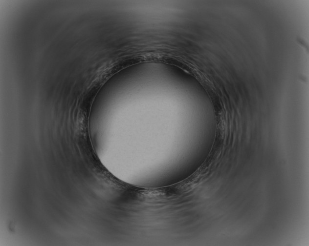X0000091920619200709191341