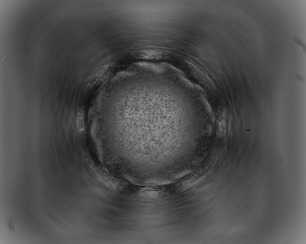 X0000091920620200709191341