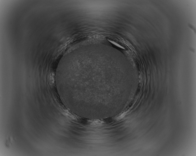 X0000091920621200709191341