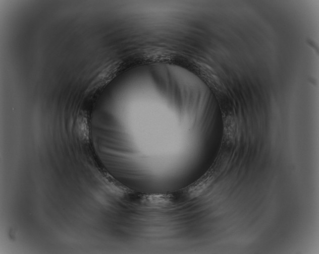 X0000091920622200709191341