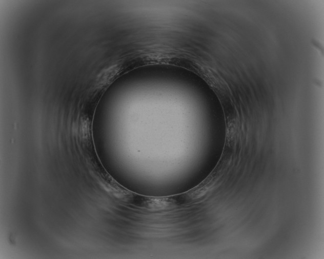 X0000091920623200709191341