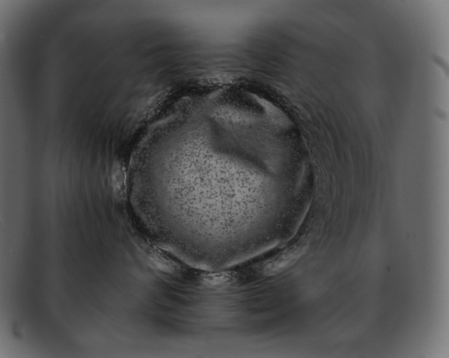 X0000091920624200709191341