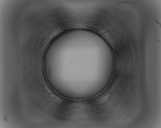 X0000091920625200709191340