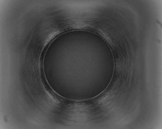X0000091920626200709191340