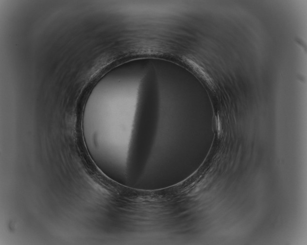 X0000091920627200709191340