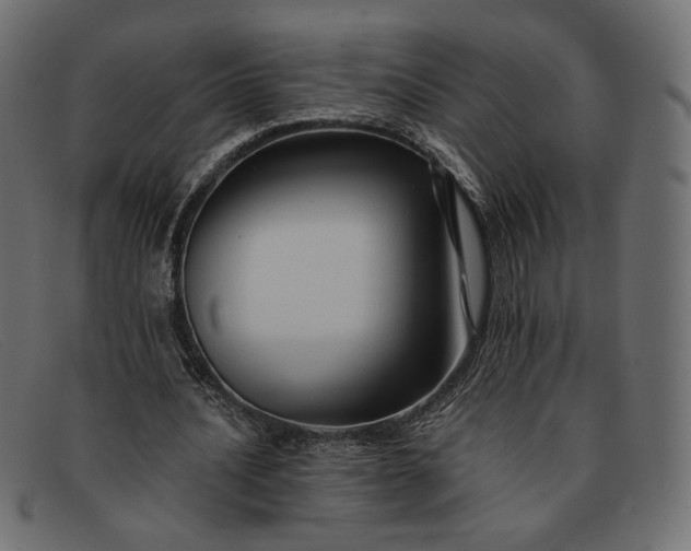 X0000091920628200709191340